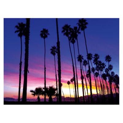 Palm Tree Sunset Notecards – Set of 8 on White Linen with Engraved Bamboo Pen