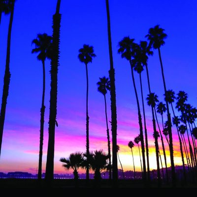 Palm Tree Sunset – Greeting Card